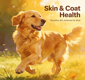 OEM/ODM Glucosamine Chondroïtine pour chiens – Friandises à mâcher souples pour <span class=keywords><strong>la</strong></span> santé des articulations, soutien musculaire, beauté et vitalité – Riches en protéines, sans céréales - Product Image 6