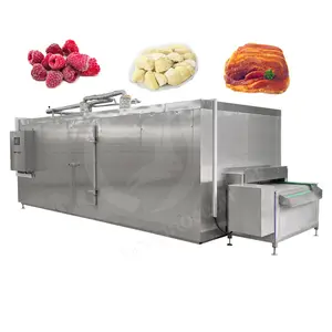 OCEAN Frozen Vegetable Fruit Shrimp Liquid Nitrogen Durian Quick Freeze Tunnel Iqf Plate Freezer For Chicken