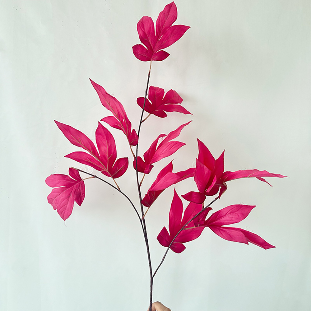 Grande feuille de beauté rose rose
