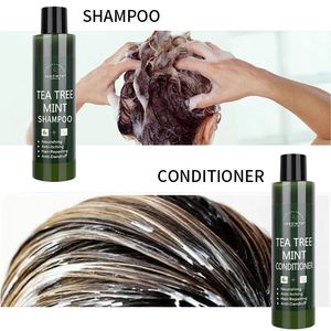 Shampooing de croissance des <span class=keywords><strong>cheveux</strong></span> bio unisexe Ensemble après-shampoing Formule gel naturelle Huiles essentielles-Gingembre Aloe Vera Arbre à thé Hommes Femmes <span class=keywords><strong>Cheveux</strong></span> - Product Image 4