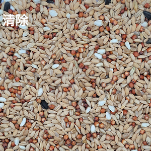 Mélange Alimentaire <span class=keywords><strong>de</strong></span> Gros Équilibre Sportif pour Jeunes Pigeons : Pois, Millet, <span class=keywords><strong>Graines</strong></span> <span class=keywords><strong>de</strong></span> Tournesol, <span class=keywords><strong>Graines</strong></span> d'Alpiste et Sorgho Séchés - Product Image 4