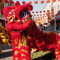 Costume de danse du lion pour deux personnes, taille normale, en coton, fabriqué à la main à l'usine de Guangzhou, pour les célébrations du Nouvel An chinois