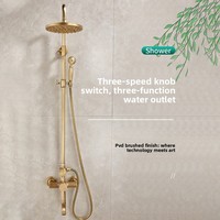 Ensemble de douche en cuivre brossé de style antique, pommeau de douche vintage de style européen, buse de douche à effet pluie haute pression, montage mural