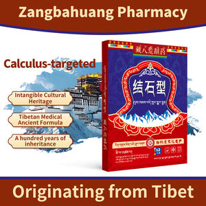 Gesso chinês médico para aplicação corporal auxiliando na remoção de pedras nos rins e aliviando a dor das pedras do sistema urinário - Product Image 3