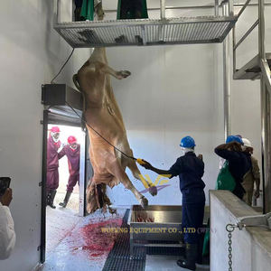 Fabrik preis Rindfleisch schlachthaus Ausrüstung für Kuh schlachthof Blutentnahme durch Rindfleisch schlachthaus - Product Image 3