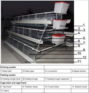 กรงไก่เชิงพาณิชย์แบบใช้แบตเตอรี่อัตโนมัติก<span class=keywords><strong>ร</strong></span>งไก่สำหรับฟา<span class=keywords><strong>ร</strong></span>์มผลิตไข่แบบ<span class=keywords><strong>แอ</strong></span><span class=keywords><strong>ฟ</strong></span><span class=keywords><strong>ริ</strong></span><span class=keywords><strong>กัน</strong></span> - Product Image 5