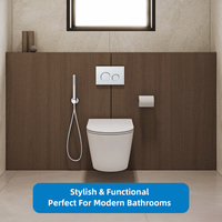Plaque de chasse d'eau double personnalisée Omega Actuator, pour réservoir encastré dissimulé, compatible carrelage, en ABS, pour toilettes murales carrelées