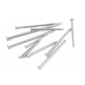 China Factory Supplier Competitive Price Stainless Steel Galvanized Concrete Nail For Concrete