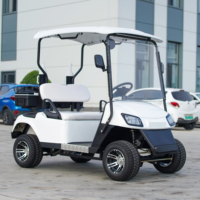 Voiturette de golf électrique tout-terrain 2 places, batterie lithium 48V, couleur personnalisée, directement de l'usine
