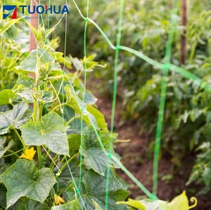 Lưới Mắt Cáo Nhựa Nông Nghiệp Nhà Kính Lưới Đậu Rau Quả Lưới Hỗ Trợ Cây Trồng - Product Image 2