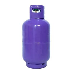 Régulateur de <span class=keywords><strong>gaz</strong></span> en acier de haute qualité pour bouteilles GPL 5kg <span class=keywords><strong>6kg</strong></span> 15kg 25kg conteneurs de <span class=keywords><strong>gaz</strong></span> basse pression - Product Image 2