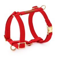 Laisse ronde robuste et résistante avec harnais assorti pour chien, sac à crottes, ensemble d'articles pour chien pour chiens de petite et moyenne taille, promenade en ville, jeu