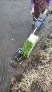 Importo all'ingrosso per uso agricolo in Vietnam trapiantatore di riso a mano terreno agricolo meccanico per trapiantatore di riso elettrico a due file - Product Image 3