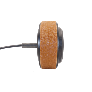 มอเตอร์ฮับ 36VDC WS55L-07A250C-MGGA03 ยี่ห้อ Al4 แบบดรัมแม่เหล็กฟูลลิง  จากโรงงานผู้ผลิตในจีน - Product Image 2