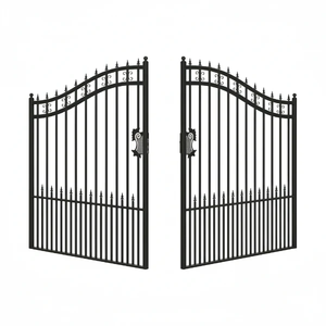 Nouvelle <span class=keywords><strong>Porte</strong></span> d'entrée en <span class=keywords><strong>fer</strong></span> écologique, anti-rouille, galvanisée à chaud, anti-UV, durable, avec revêtement en poudre, disponible en différentes tailles, petite <span class=keywords><strong>porte</strong></span> - Product Image 1