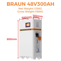 Batterie LiFePO4 15KWh 51.2V 300Ah, pack divisé IP65, BMS intelligent 200A, cycle profond, CAN RS485, pour onduleur, appareils solaires domestiques, garantie 10 ans