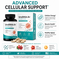Urolithin A 500mg Complexe avec CoQ10 et Extrait de Grenade pour l'Énergie Cellulaire Marque Blanche OEM ODM 60 gélules Vente en Gros