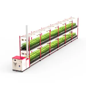 Vertikale Farm-Anbau maschine mit hoher Ausbeute und aeropo nischen LED-Wachstums lichtern