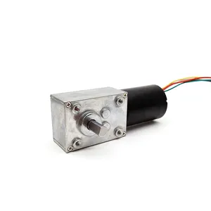 12v 24v 36mm Worm Gear Motor TWG4058-TEC3650 10kg.cm High Torque 24v DC Motor Brushless Low Speed Dc Motor