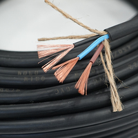 Câble en cuivre flexible torsadé, isolation en caoutchouc PVC, plat, 2/3/4/5/6/8/10/12/16/18 conducteurs, 0,5 mm, 1 mm, 0,75 mm, 1,5 mm, 2,5 mm, fil de haut-parleur