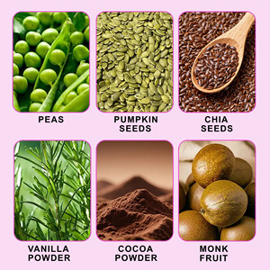 Factory Direct Plant Based Protein Powder Helps Support Endurance Recovery Supports Metabolism Chocolate Flavored Powder - Product Image 6
