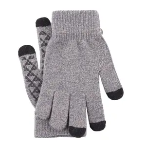 Großhandel Kalt wetter Strick handschuhe Unisex Herbst Winter Dicker Plüsch Warme Handschuhe Touchscreen Silikon Rutsch feste Ski handschuhe