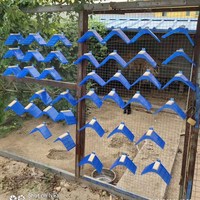 Support de repos pour pigeon Homing Bird Accessoires, perchoir pour pigeon de course V, support en plastique avec crochet