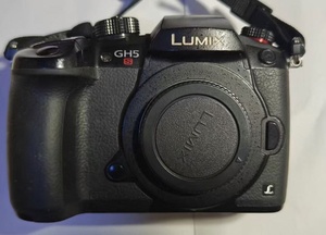 Appareil photo numérique 4K d'occasion <span class=keywords><strong>LUMIX</strong></span> GH5S avec carte SD intégrée, stabilisation optique de l'image, écran LCD 3,20 pouces, résistant aux intempéries - Product Image 2