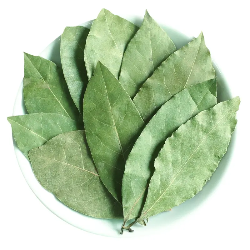 QC Premium Wholesale Bay Leaf Spices Laurel Leaves Natural Gourmet Culinary Bulk Spices Herbs Products
