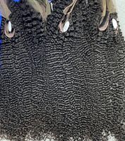 Perruques Courtes Pixie Bouclées sans Colle en Cheveux Naturels Brésilien, Perruques Lace Front HD Complètes en Dentelle Frontale, Vente en Gros