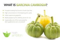 Garcinia Cambogia Extract China Pure Hca Garcinia Cambogia Fruit Extract Poeder/Garcinia Cambogia P.e