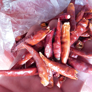 Hotsale new thai pepper pepe rosso intero essiccato per spezie - Product Image 4