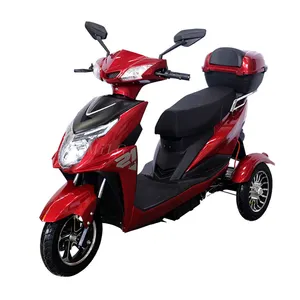 Tricycle électrique, moto électrique à trois pneus pour adultes, prix en Inde