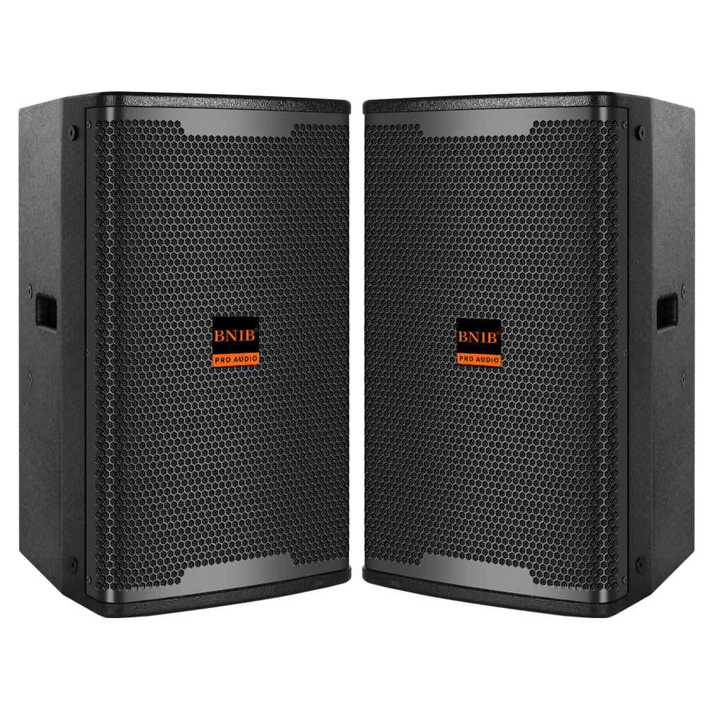 ODM домашний кинотеатр высокой мощности 2,1 динамик беспроводной 200 Вт громкоговоритель 10 дюймов 12 дюймов домашняя караоке аудиосистема