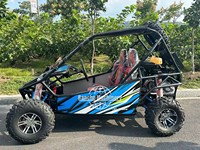 Véhicule utilitaire électrique RC en promotion, nouveau buggy, voiture UTV, kart agricole, véhicule tout-terrain, homologué CE, 2/4/6 places, couleur personnalisée