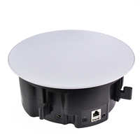 Sistema de Sonido Inalámbrico para Techo con Altavoces Activos 5.4, Compatible con Cine en Casa, Potencia de Salida de 50-100W, Control Remoto Incluido