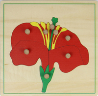 Jeu éducatif de botanique, fleurs, jouets en bois Montessori, puzzle en bois Montessori, puzzle 3D pour enfants