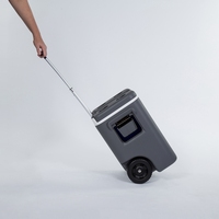 Glacière isotherme 25L avec poignée télescopique et roues, étanche, qualité alimentaire, pour boissons, bière, fêtes, barbecues, camping