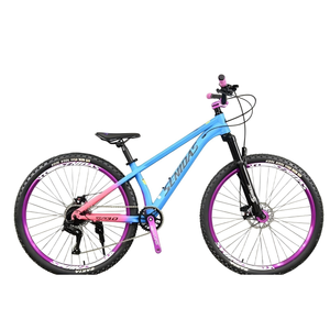 Bicicletta da Montagna Senidas a 8 Velocità, Telaio in Acciaio da 26 Pollici, Freno a Disco, Forcella per Dirt <span class=keywords><strong>Jump</strong></span>, MTB per Discese, Prodotta in Cina - Product Image 5
