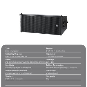 Dbk Professionele Dual 10 Inch Line <span class=keywords><strong>Array</strong></span> Actieve Luidsprekers Podium Bruiloft Full-Range Powered Speakers La System Concert Podium Audio - Product Image 3