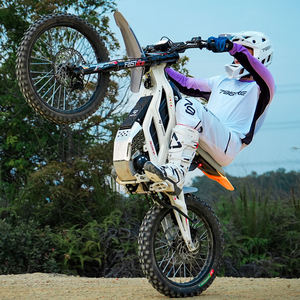 Moto tout-terrain électrique W 79Bike Falcon GT 16.8KW 810N.m pour la course en montagne - Product Image 1
