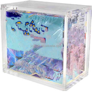 Boîte de présentation magnétique transparente en acrylique <span class=keywords><strong>pour</strong></span> objets de <span class=keywords><strong>collection</strong></span>, fermeture magnétique, anti-poussière, <span class=keywords><strong>pour</strong></span> petits souvenirs - Product Image 6