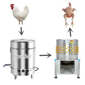 Machine à plumer les poulets en acier inoxydable électrique à petite échelle, machine à plumer la volaille, équipement d'abattage - Product Image 1
