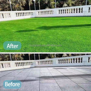 高品质C型真丝假草室内室外使用/阳台宠物和人造草坪草 - Product Image 4