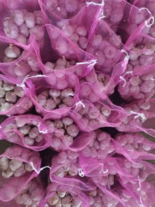 Nuovo Raccolto Aglio Fresco Cinese, Confezione in Cartone, Aglio Bianco Fresco Puro/Normale, Prezzo all'Ingrosso, Fornitore - Product Image 6