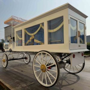 Carro Fúnebre Económico Más Vendido, Superlimusina, Coche Fúnebre Clásico para Eventos Especiales, Precio de Fábrica - Product Image 3