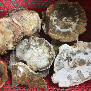 Wholesale Natural Carved Gemstone Crystals Wood <strong>fossil</strong> Slice Precious <strong>Stones</strong> for Sale - Product Image 2