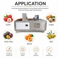Machine voor het verwijderen van pruimenpitjes, lychee-schiller en -ontpitter, machine voor het ontpitten van kleine vruchten, longan-ontpitter