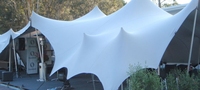 PVC lourd de haute qualité 700gsm et tente extensible de mariage blanche en tissu élastique résistant au feu