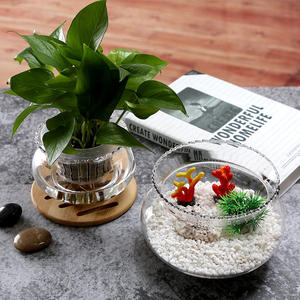 Machine Geblazen Kantoor En Thuis Glas Vis Kom Tafel Aquarium - Product Image 3